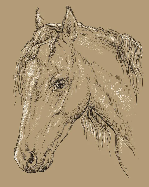 Retrato de caballo-8 sobre fondo marrón — Archivo Imágenes Vectoriales