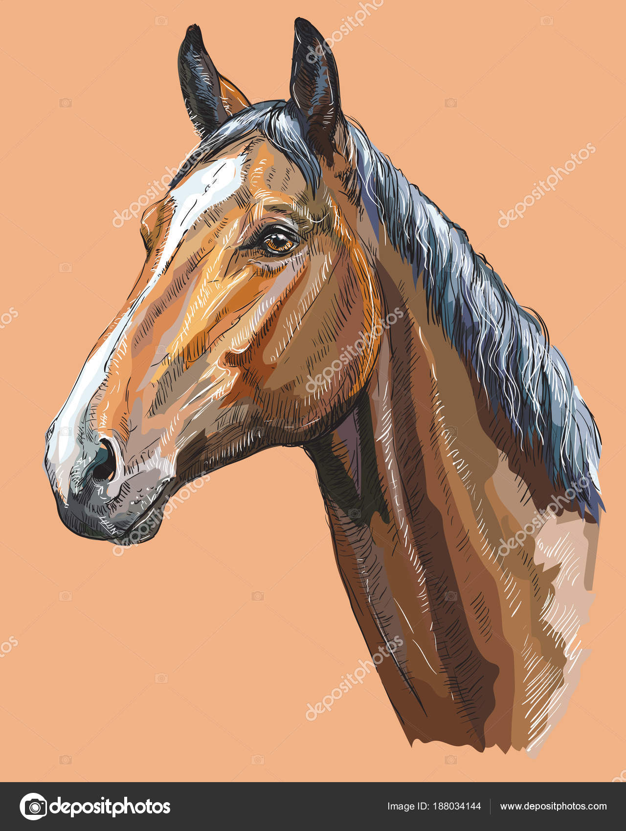 Resultado de imagem para cabeça de cavalo desenho colorido