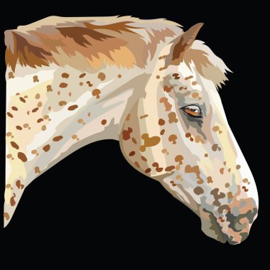 Colored Horse portrait-2 clipart