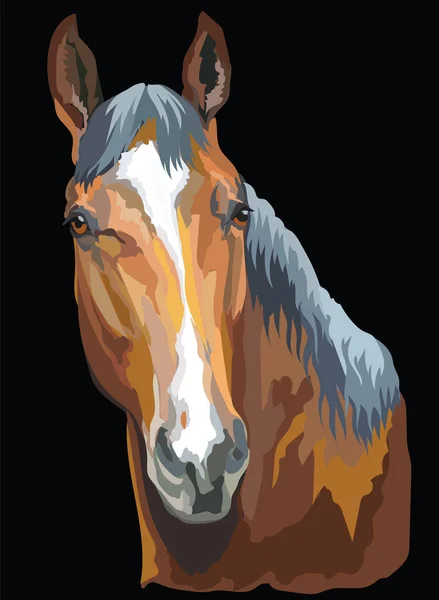 Retrato de cavalo colorido-5 — Vetor de Stock