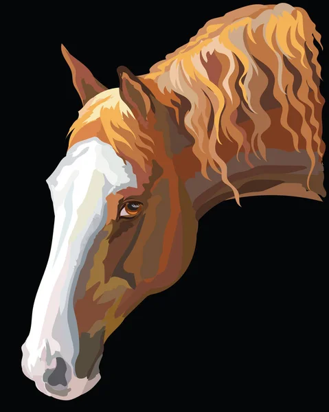 Cheval de couleur portrait-4 — Image vectorielle