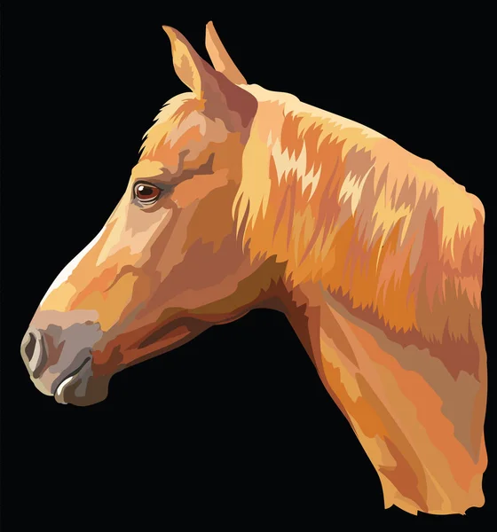 Gekleurde paard portret-9 — Stockvector