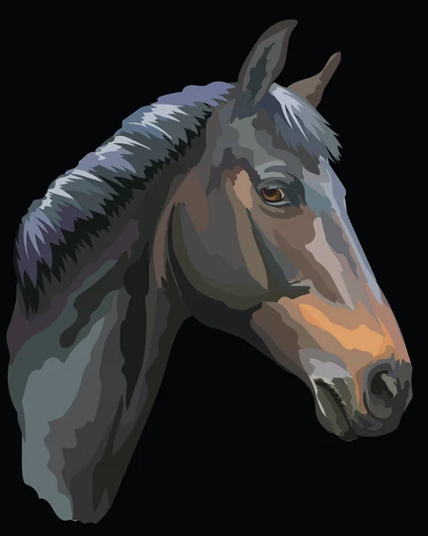 着色された馬の肖像画 10 — ストックベクタ