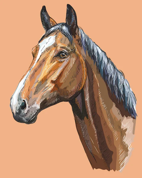 Retrato de cavalo colorido-1 — Vetor de Stock