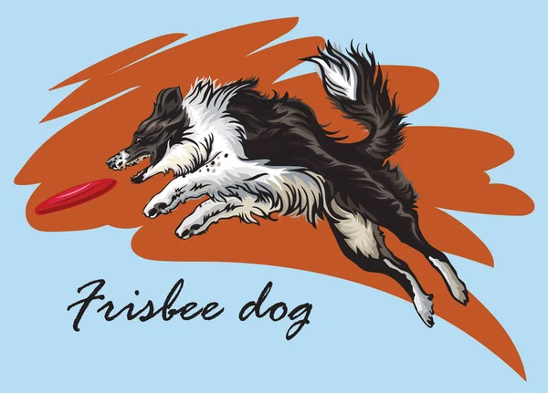 Bordure décorative collie jouer frisbee — Image vectorielle