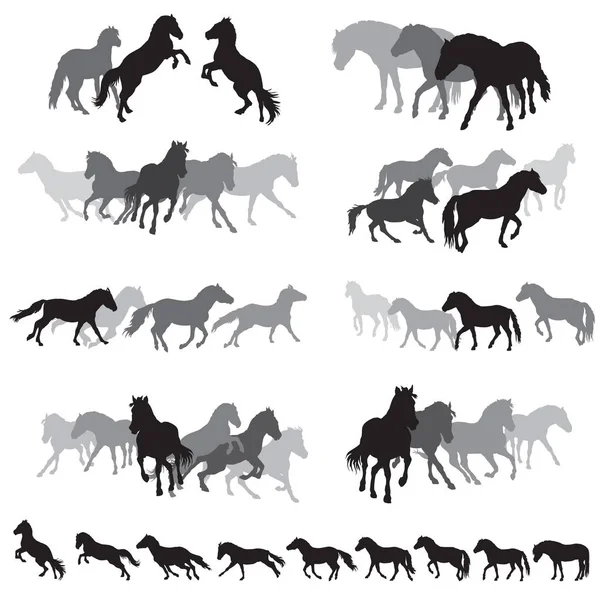 Gruppen von isolierten Pferden Silhouetten-3 — Stockvektor