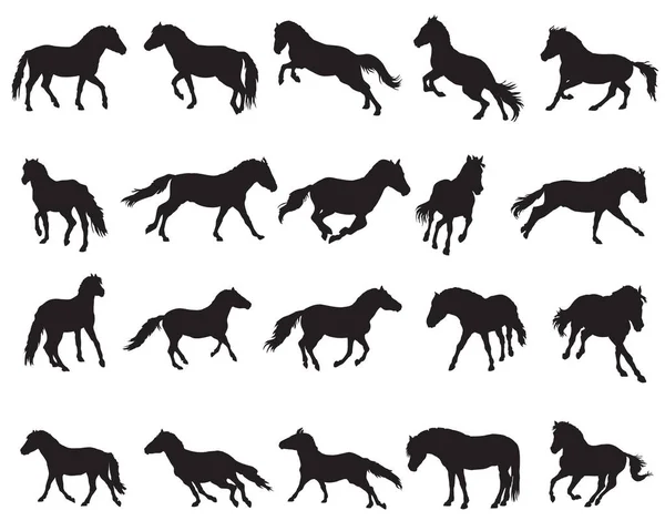 Set van geïsoleerde paarden silhouetten-3 — Stockvector