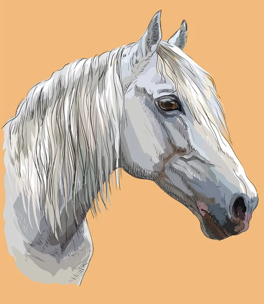 Colorful Horse Portrait-6 — стоковый вектор