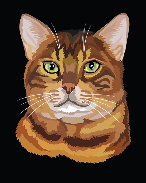 Barevné Bengal Cat — Stockový vektor