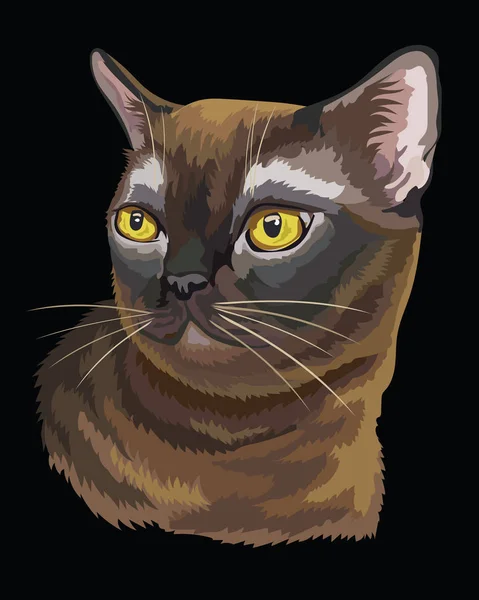 Кольорові Бірманська кішка — стоковий вектор