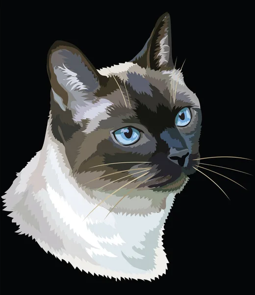 Кольорові тайський кішка — стоковий вектор