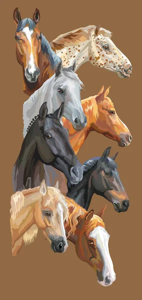 Ansichtkaart met paarden-2 — Stockvector