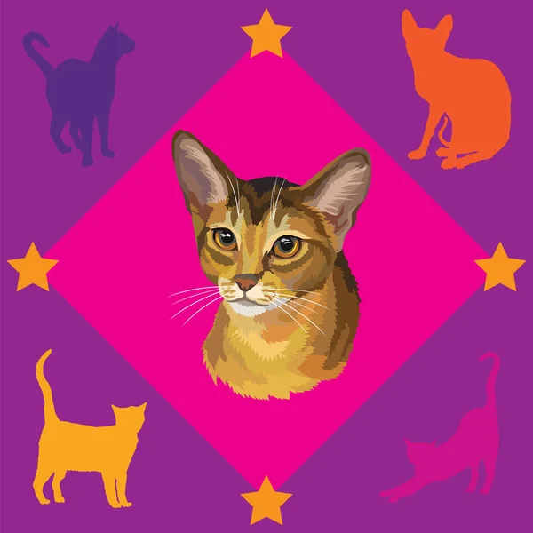 Χωρίς ραφή πρότυπο με γάτα αβυσσινιακού — Διανυσματικό Αρχείο
