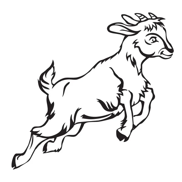Goat-1 — Stock Vector