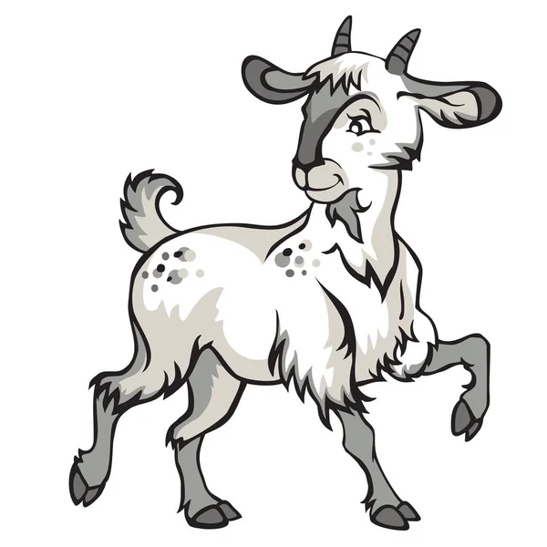 White Goat — Stock Vector