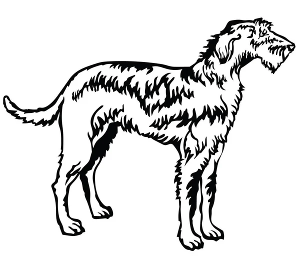 Portrait debout décoratif de l'illustrat vectoriel irlandais Wolfhound — Image vectorielle