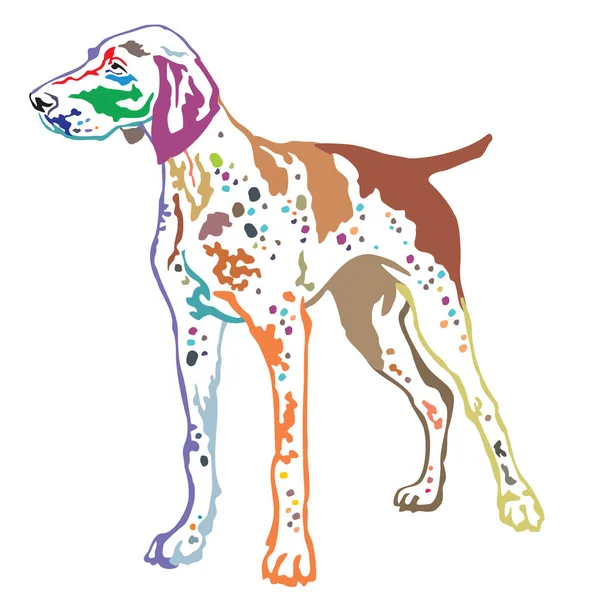 Colorful decorative standing portrait of German Shorthaired Poin — Stock Vector