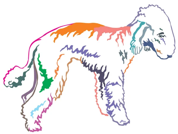 Colorido retrato decorativo de pie de Bedlington Terrier vect — Vector de stock