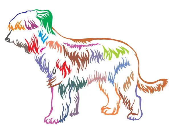 伯瑞犬矢量说明的彩色装饰立画像 — 图库矢量图片