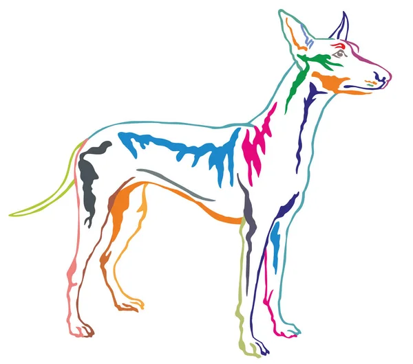 Farbenfrohe dekorative Stehporträt des Pharao Hund Vektor il — Stockvektor
