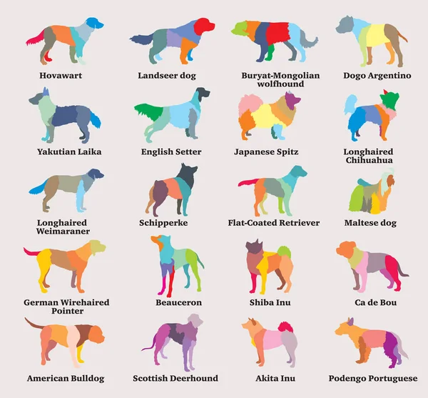 Векторный набор разноцветных силуэтов собак-7 — стоковый вектор