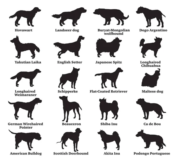 Ensemble de silhouettes pour chiens-7 — Image vectorielle