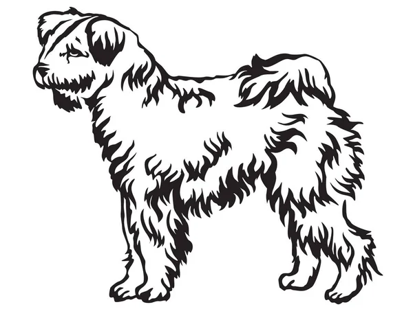 Decorative standing portrait of Pumi dog vector illustration — Stock Vector