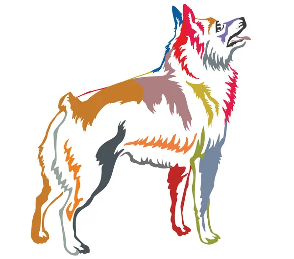 Retrato de pé decorativo colorido de Schipperke vector illus —  Vetores de Stock