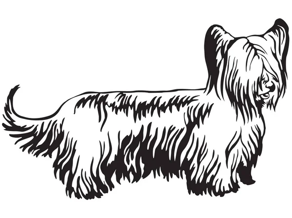 Portrait debout décoratif de Skye Terrier illustration vectorielle — Image vectorielle