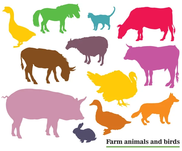 Colorful farm animals and birds silhouettes — Stock Vector