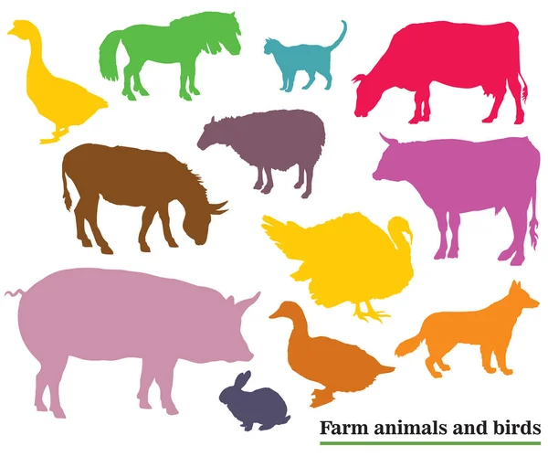 Coloridos animales de granja y siluetas de aves — Vector de stock