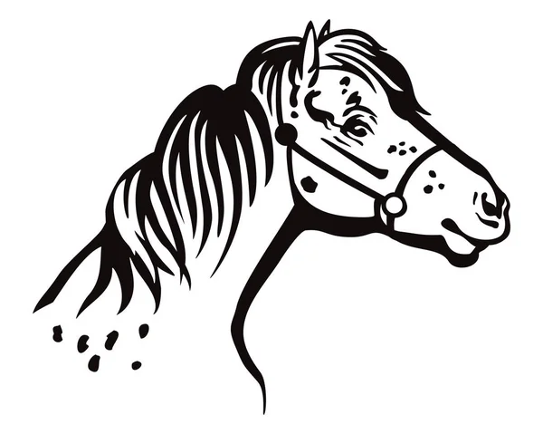 Portrait vectoriel poney — Image vectorielle