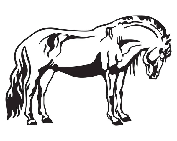 Vetor de pé cavalo 2 —  Vetores de Stock