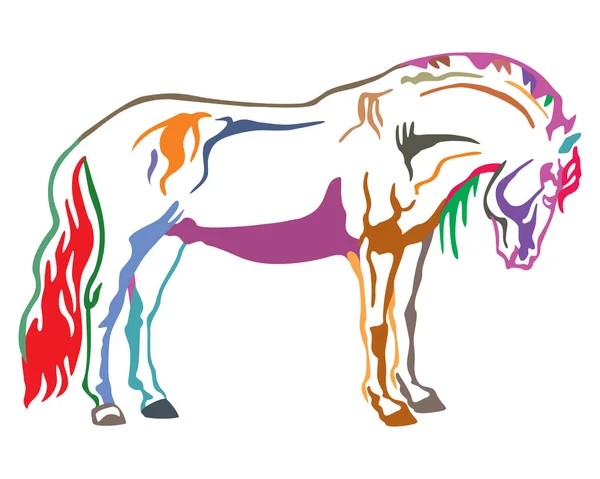 Cavalo vetor colorido 2 — Vetor de Stock