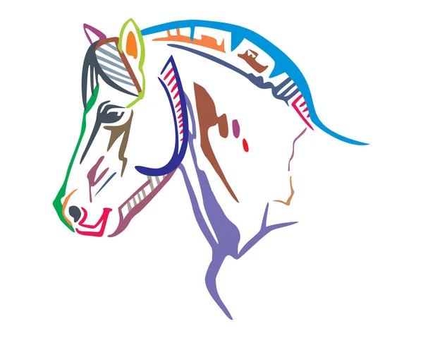 Retrato de cavalo vetorial colorido 2 — Vetor de Stock