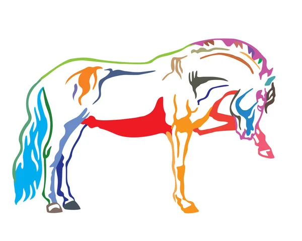 Cavalo vetor colorido 3 — Vetor de Stock