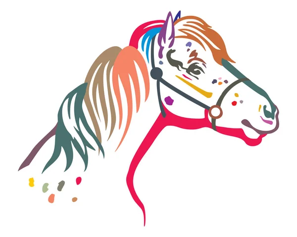 Colorido retrato de pony vector — Vector de stock