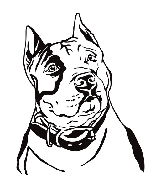 Decoratief portret van American Staffordshire Terrier 3 vector i — Stockvector