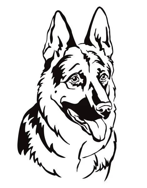 Decorative portrait of German Shepherd vector illustration — Stock Vector