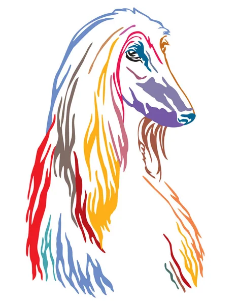 Färgglada dekorativa porträtt av Afghan Hound vektor illustration — Stock vektor