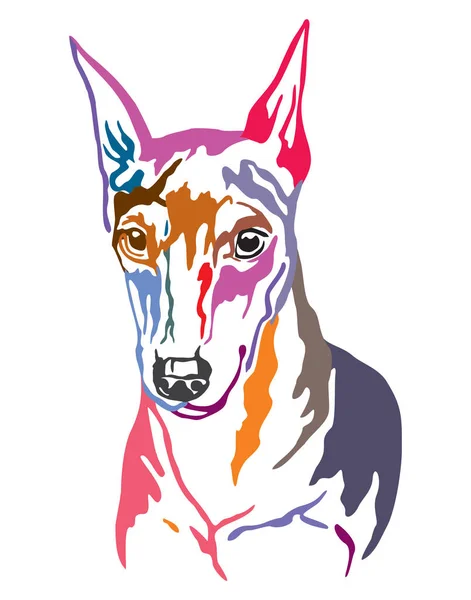 Barevný dekorativní portrét miniaturního vektoru Pinscher illust — Stockový vektor