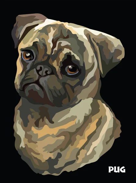 Portrait vectoriel coloré Pug — Image vectorielle