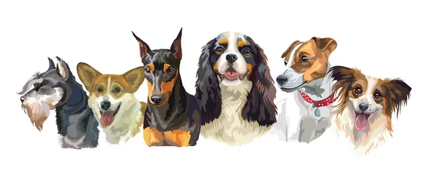 Petites races de chiens — Image vectorielle