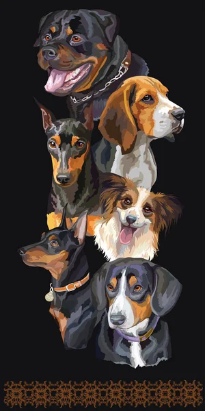 Cartolina con cani di diverse razze 11 — Vettoriale Stock