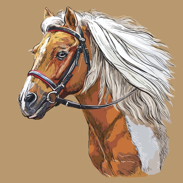 Dibujo a mano caballo retrato vector 21 — Archivo Imágenes Vectoriales