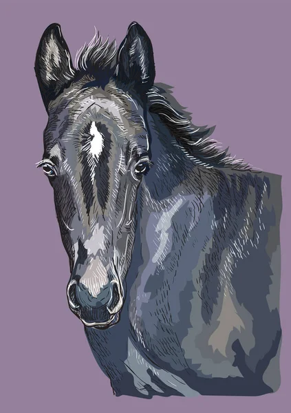 Hand drawing horse portrait vector 28 — Stock Vector