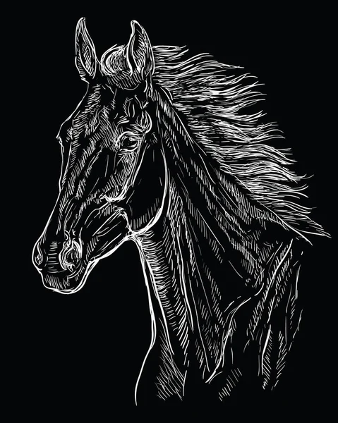 Retrato de caballo negro 22 — Vector de stock