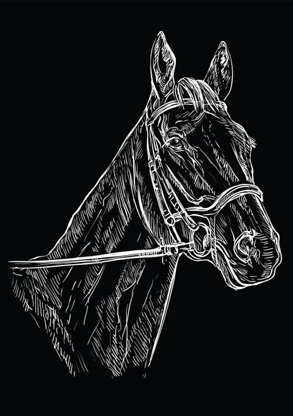 Портрет коня чорний 22 — стоковий вектор