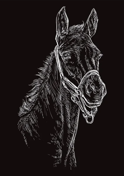 Cheval portrait noir 24 — Image vectorielle