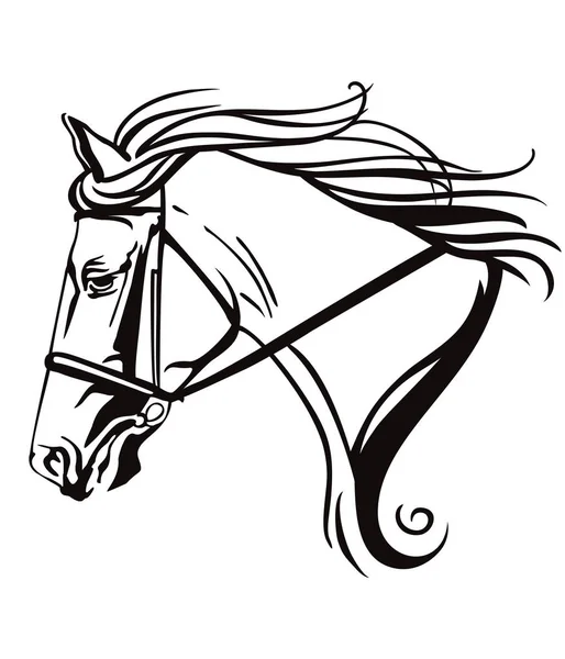 Векторний декоративний кінь 10 — стоковий вектор